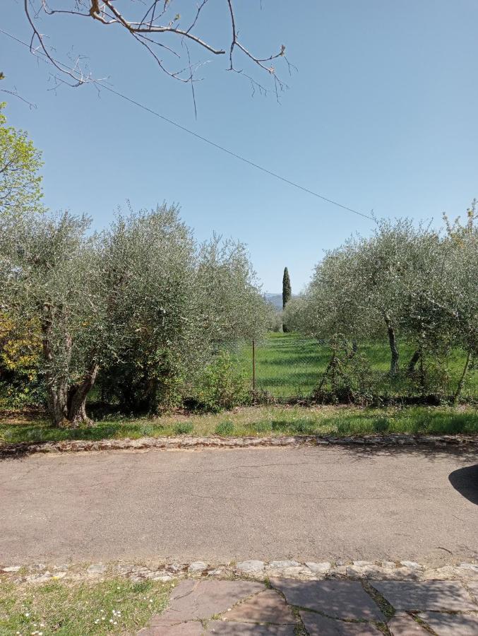 Al Canaiolo Apartamento Strada in Chianti Exterior foto